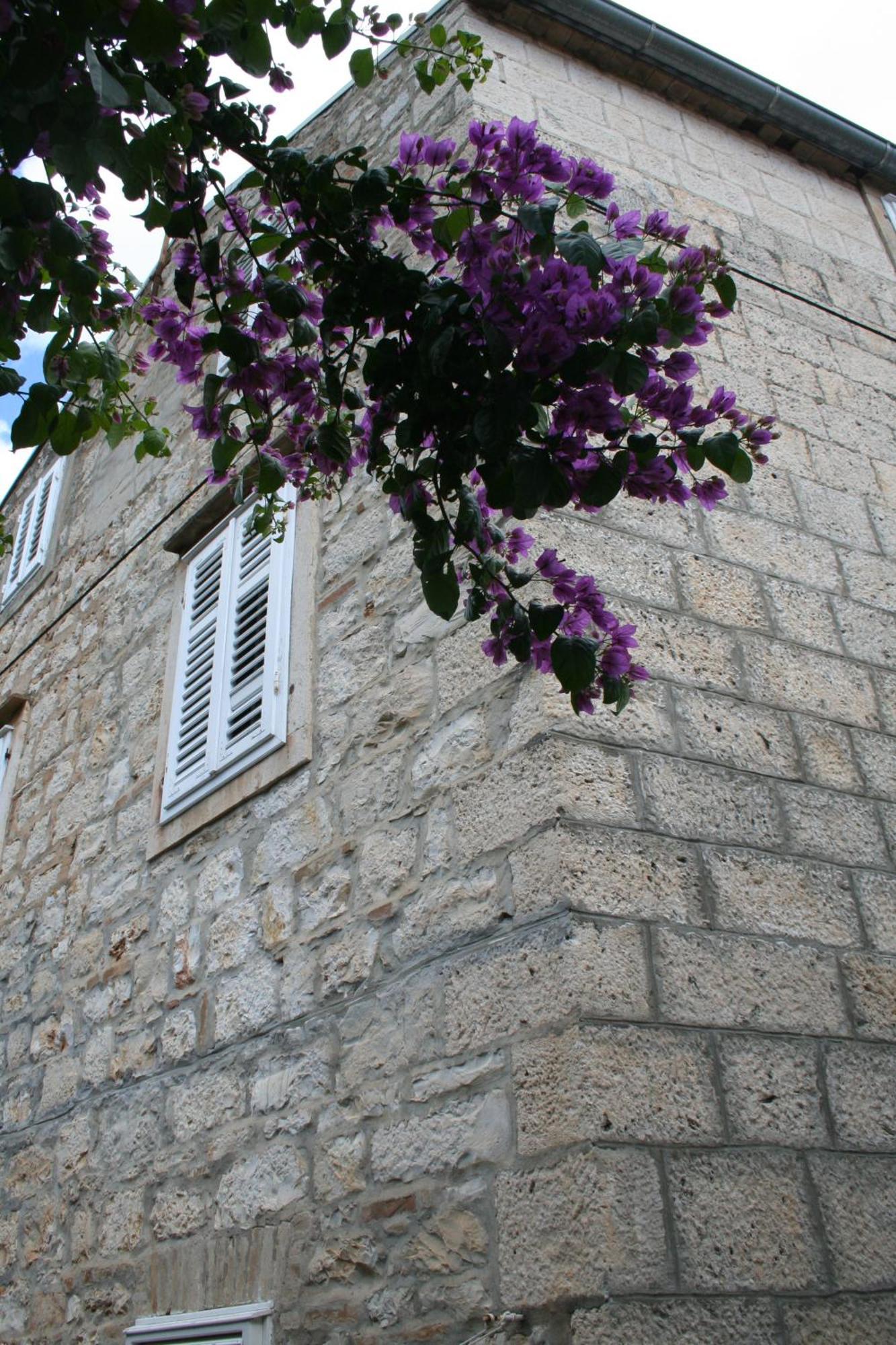 Holiday Home Isabella Vis Exterior foto